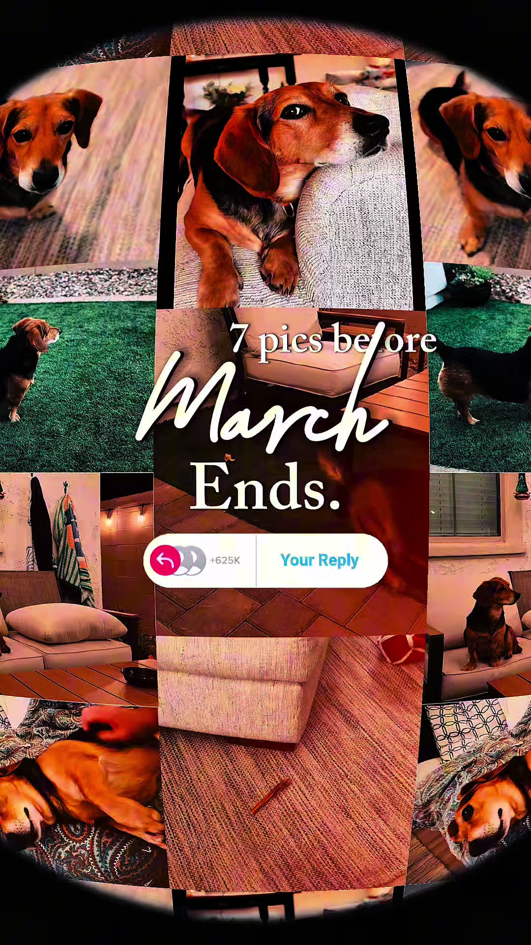 @vineanddandy