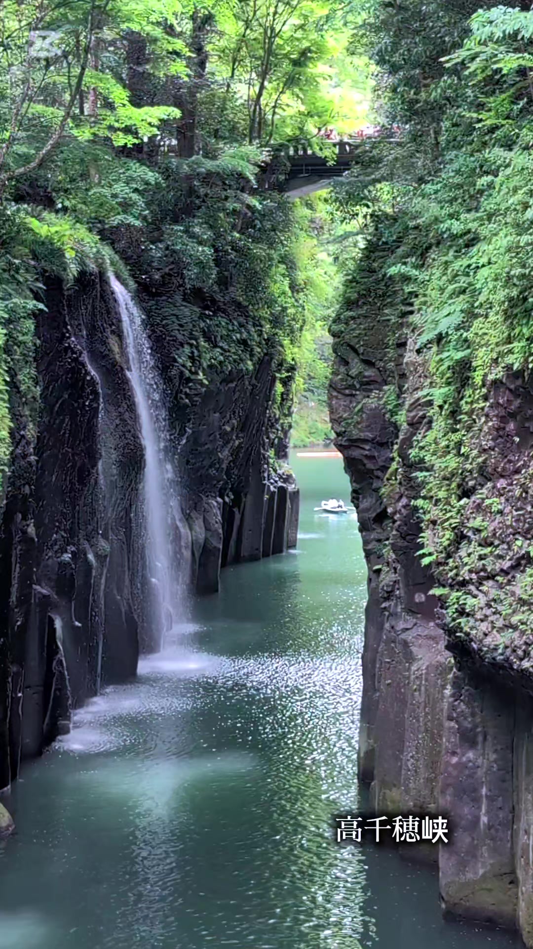 @のりのすけ【京都】