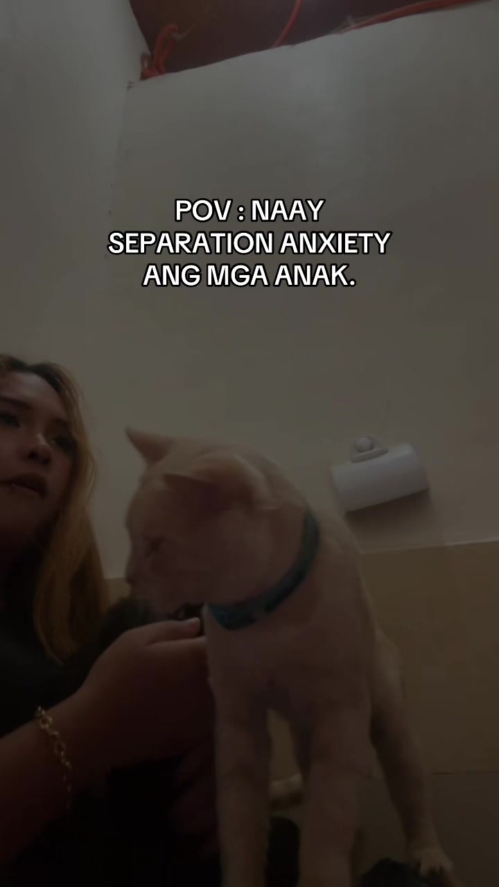 @BEAbadobedobiedooo