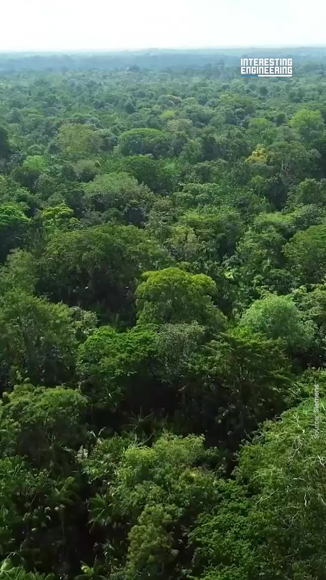 @interestingengineering