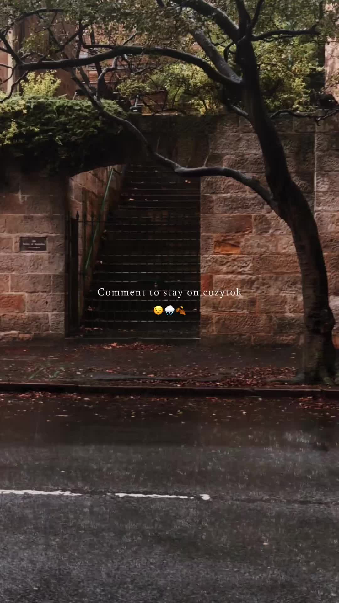 @cozytwn