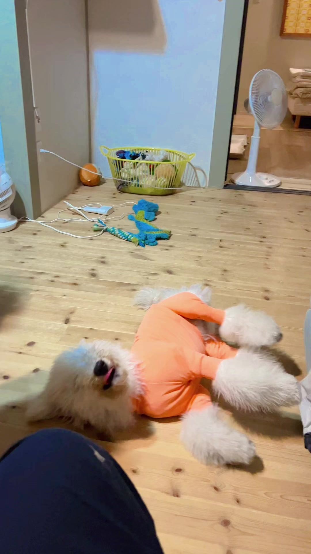 @ใใณใทใณ๐ถใจใใใ๐ถ๐ธๆใ
ใใฃใกใใ