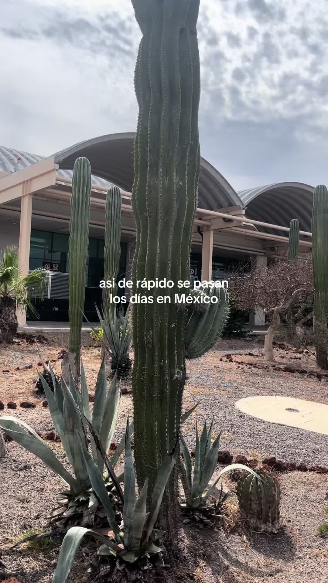 @Jazmin Arredondo