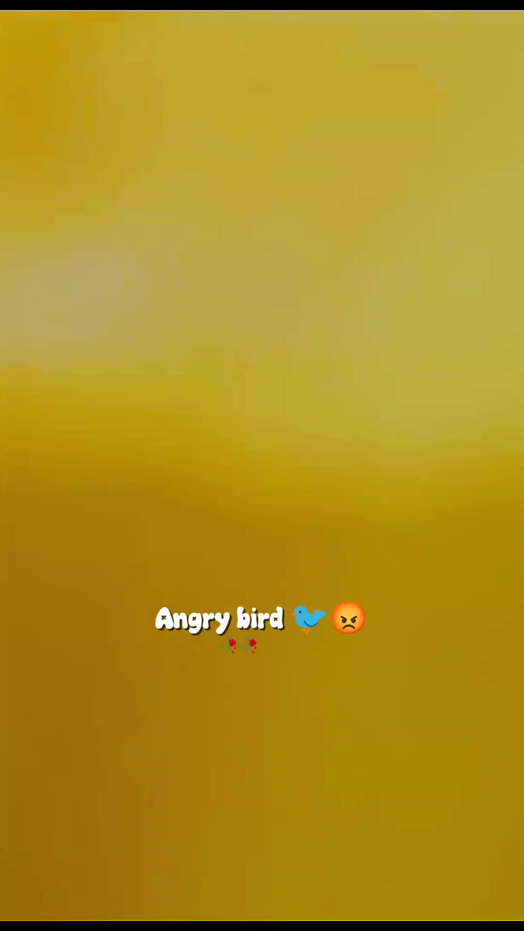 @💫𝖆𝖓𝖌𝖗𝖞 𝖇𝖎𝖗𝖉𝖘💫💥