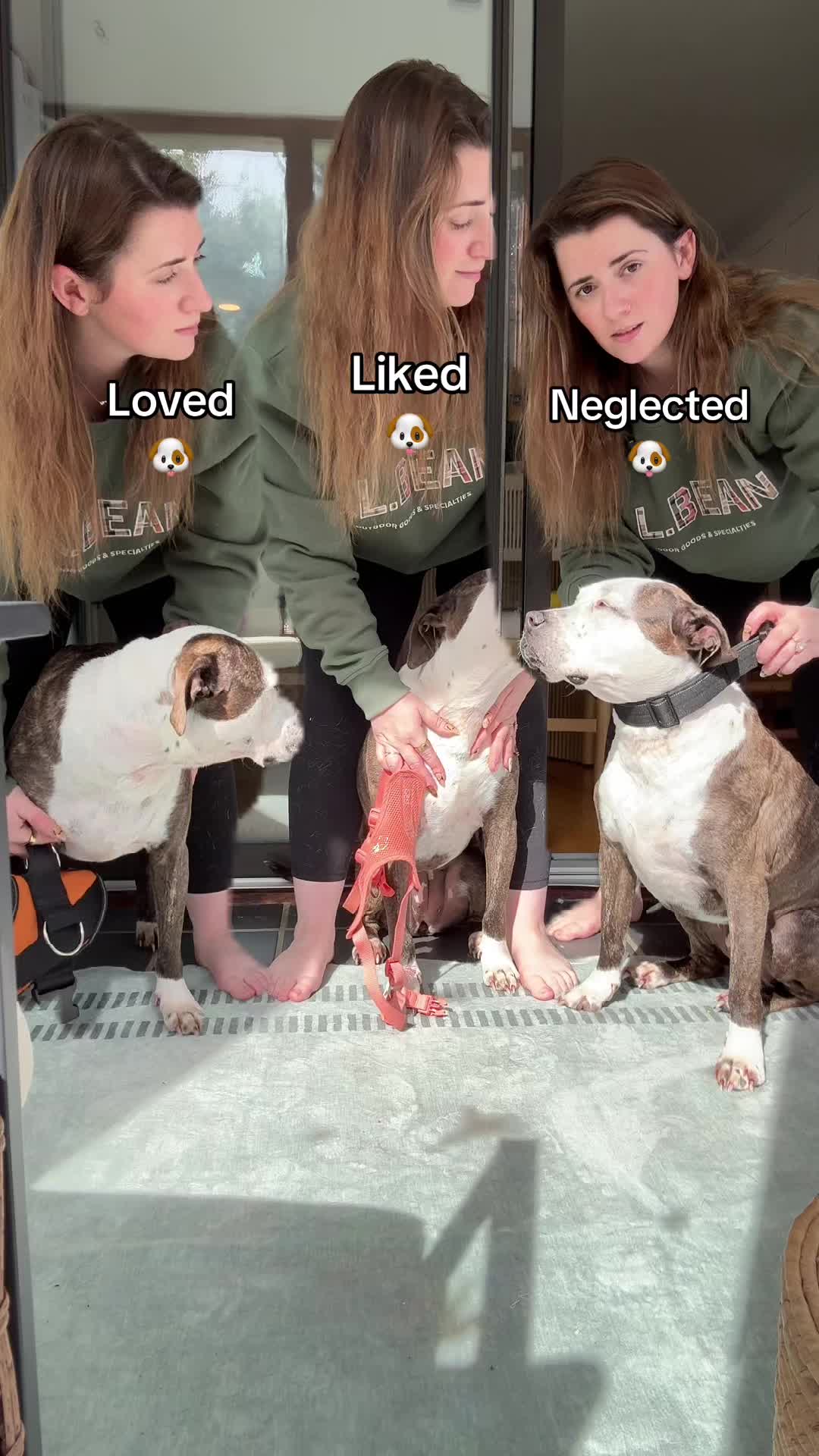 @Chelsea | Dog & Toddler Mom