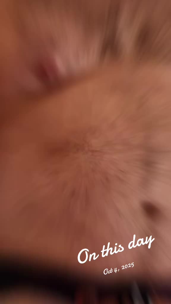 @ibearcode