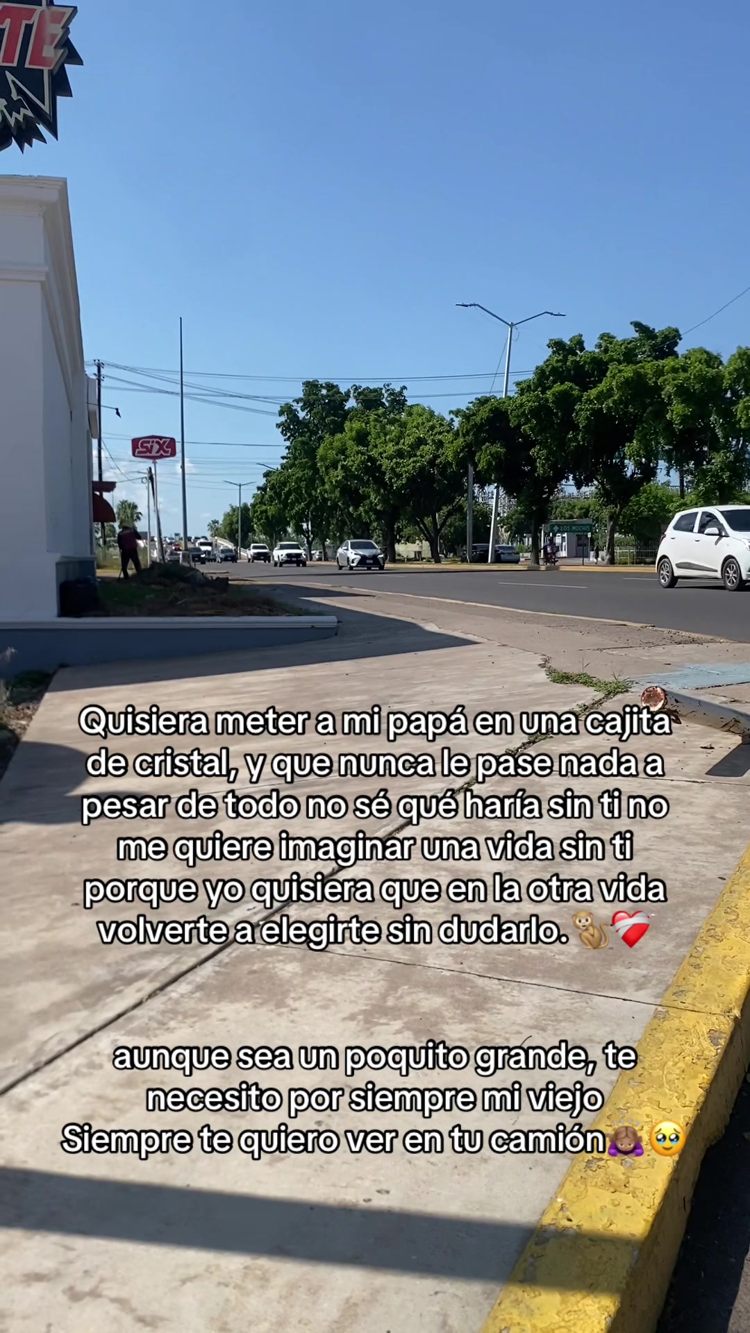 @Celia Pineda