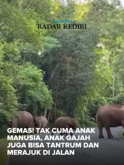 @radarkediri