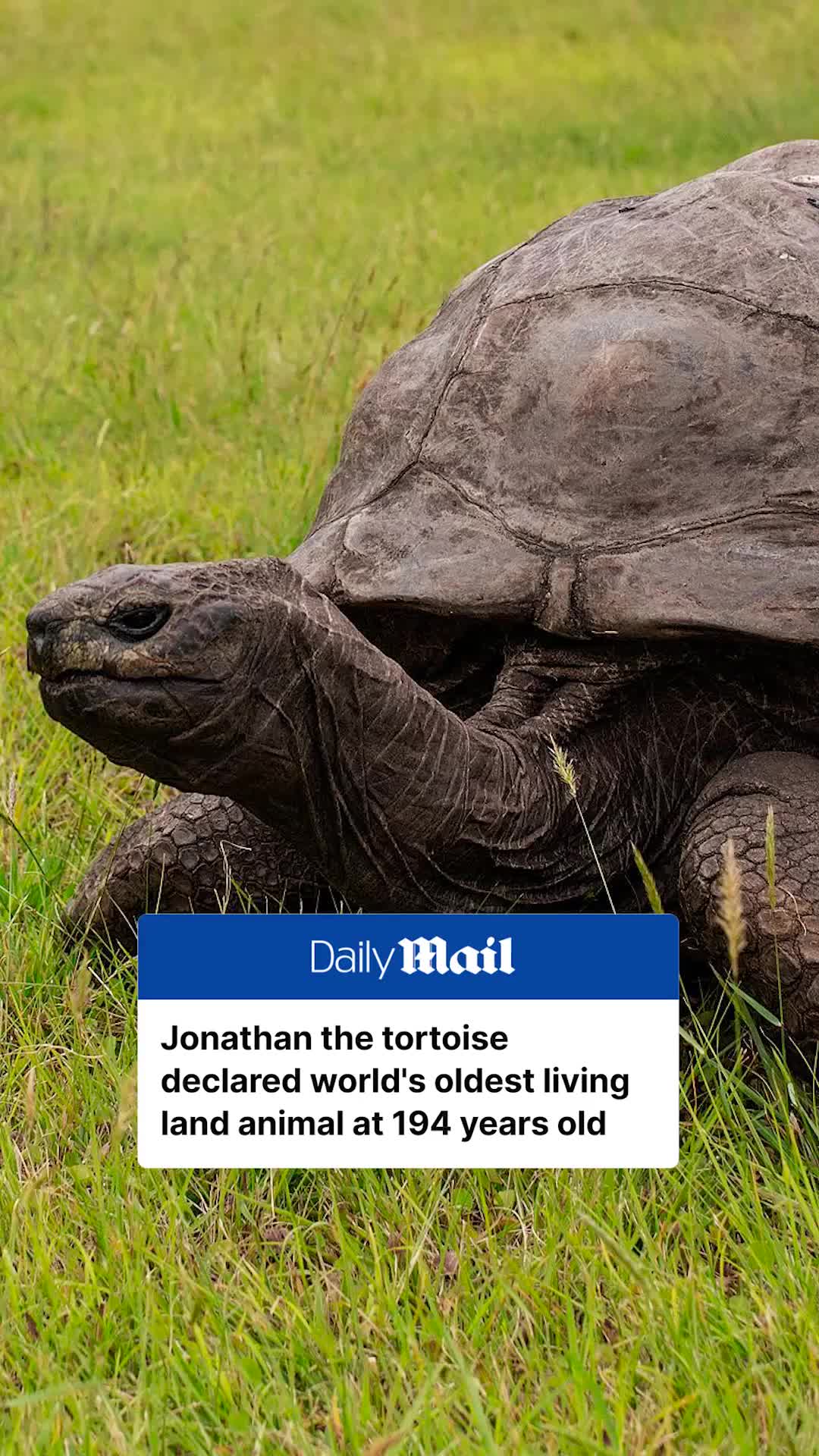 @Daily Mail