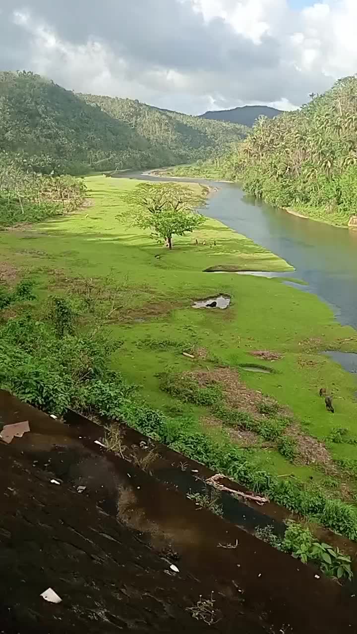 @Angelo guevarra