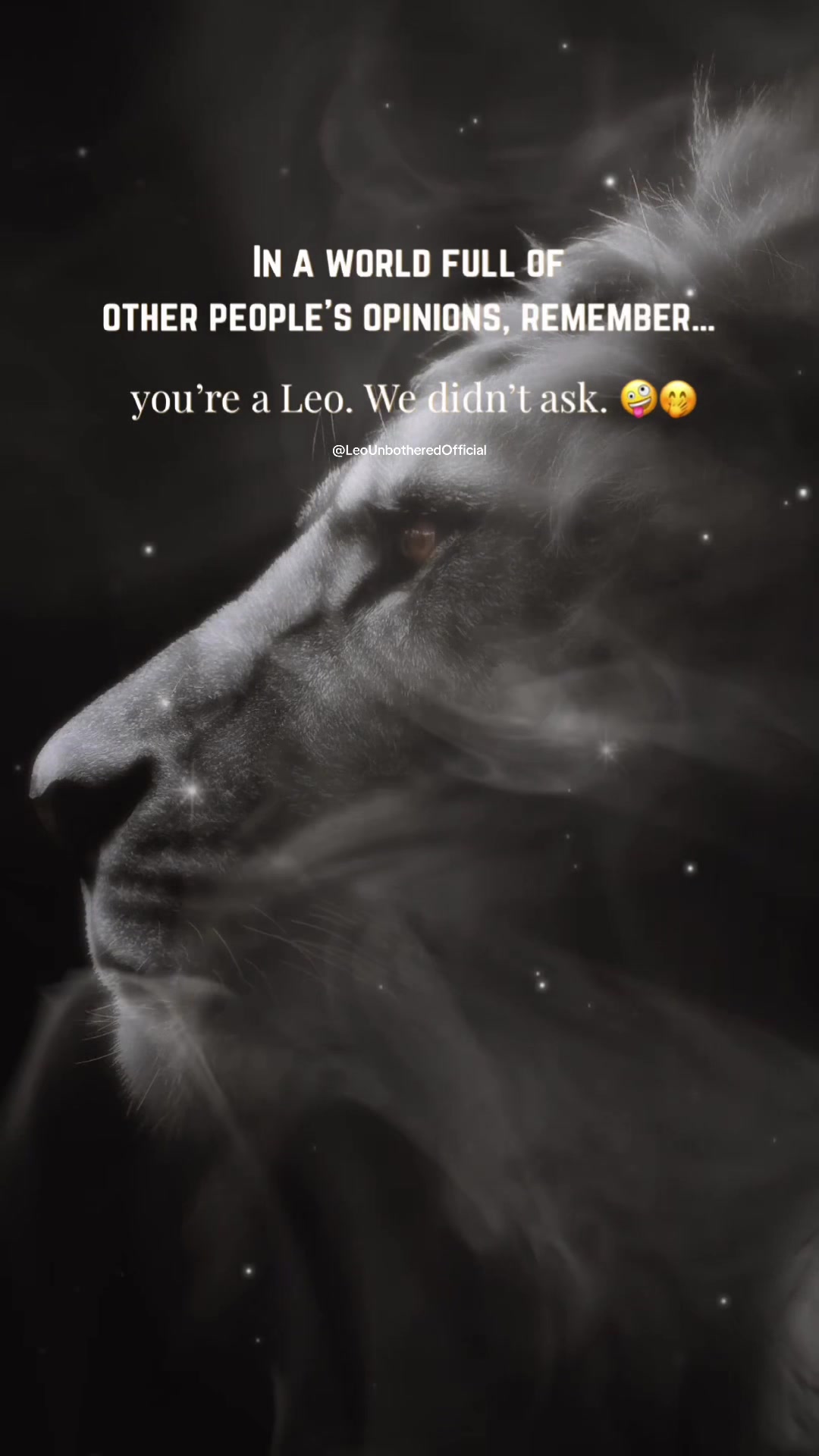 @leounbotheredofficial