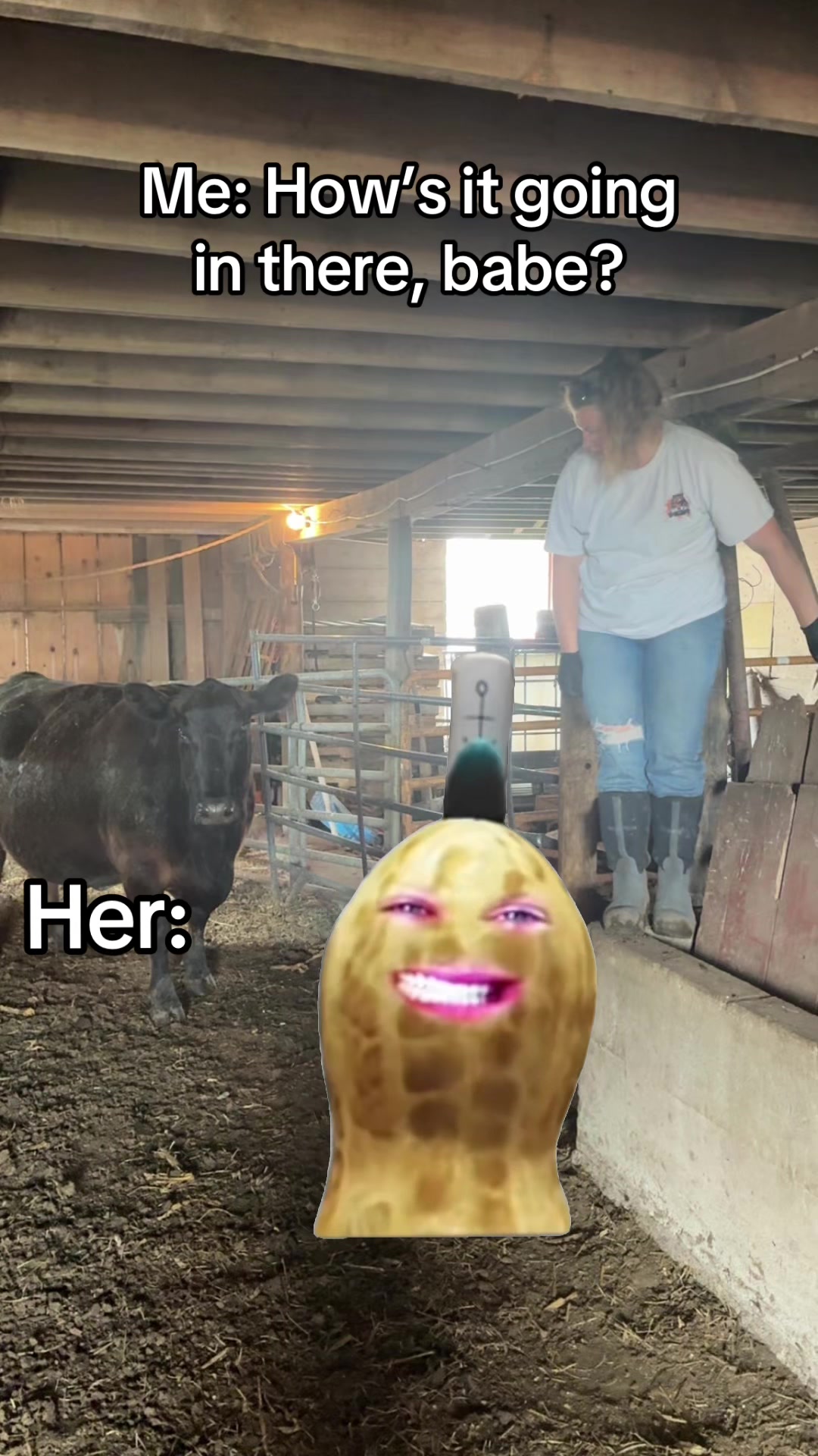 @The Orange Track Farmer