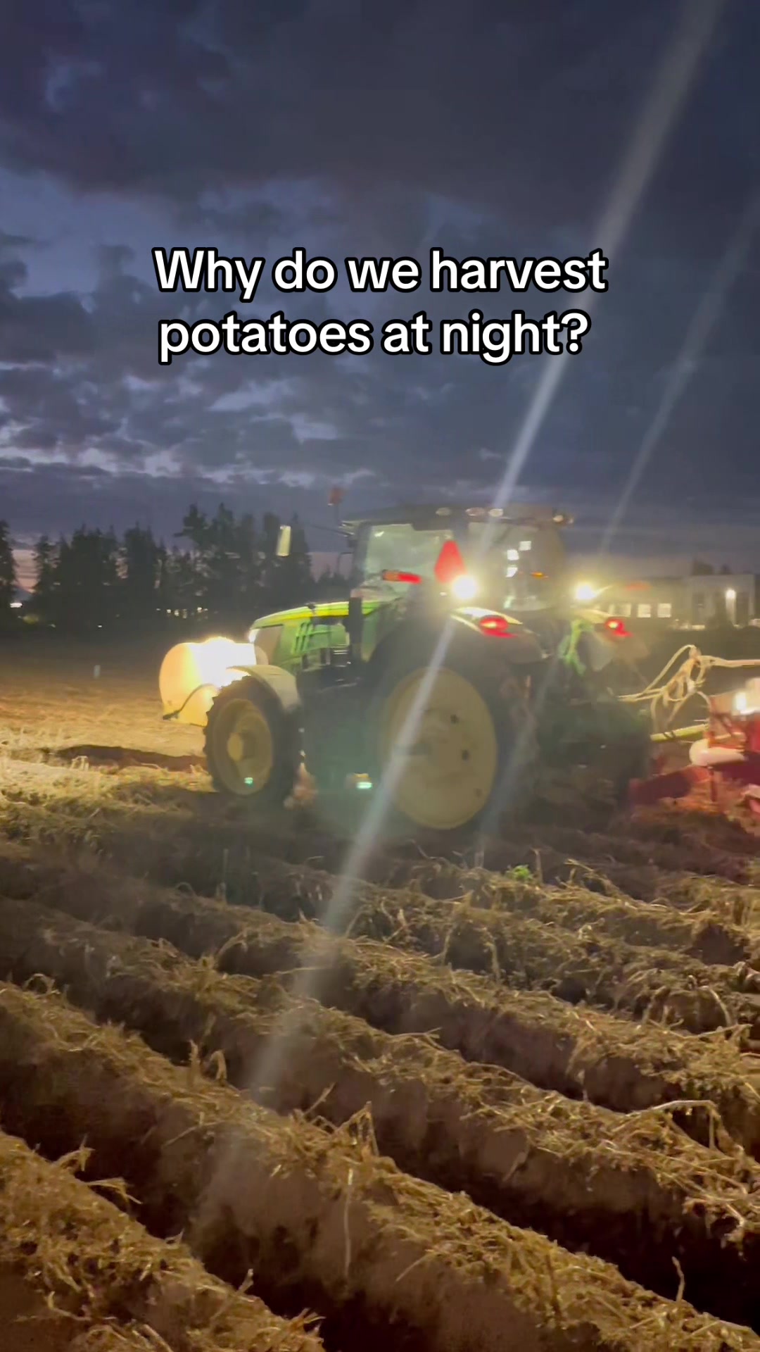 @Potato Ty