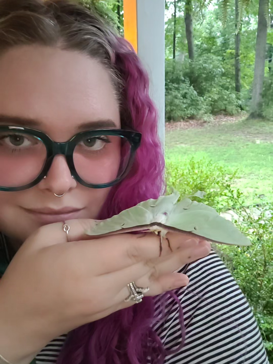 @frodos_toes