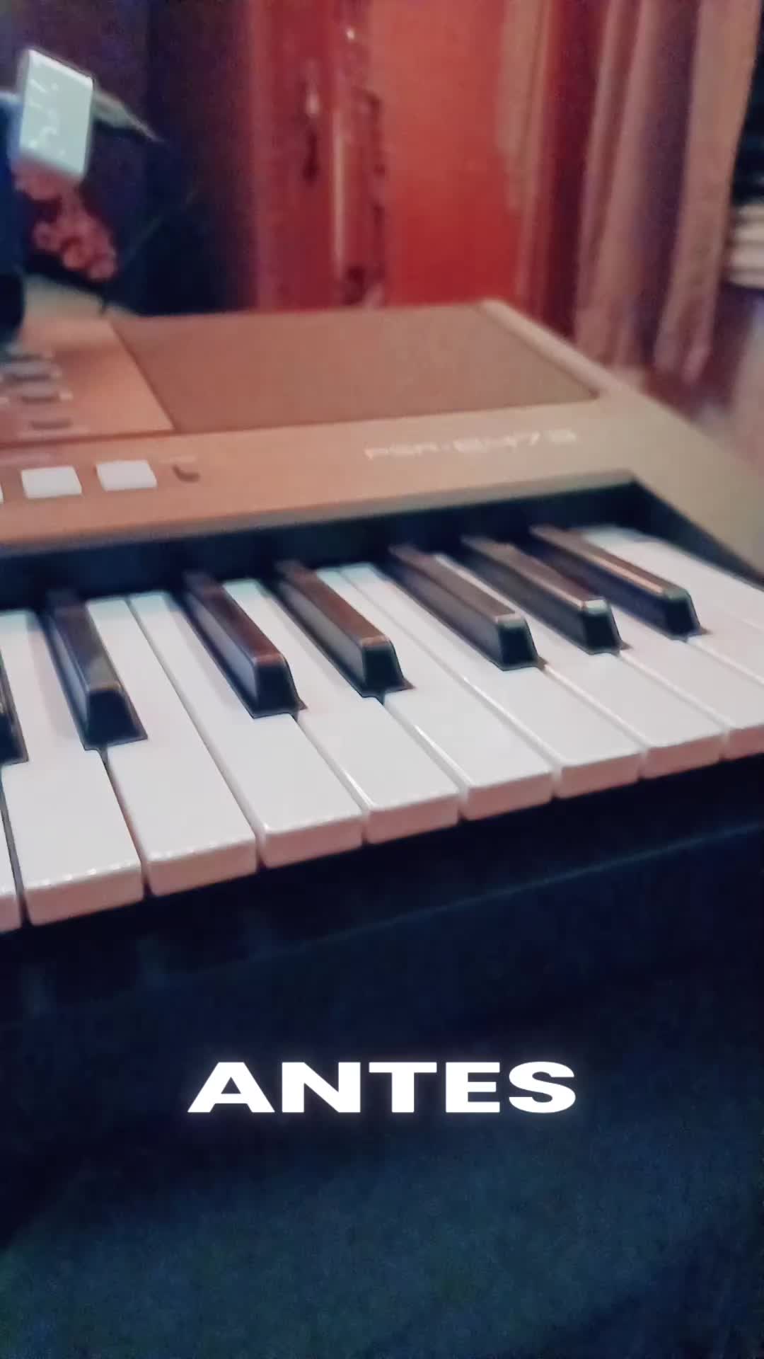 @🍀melod&iacute;a selestial🎹🦅🍀🧎&zwj;♂️