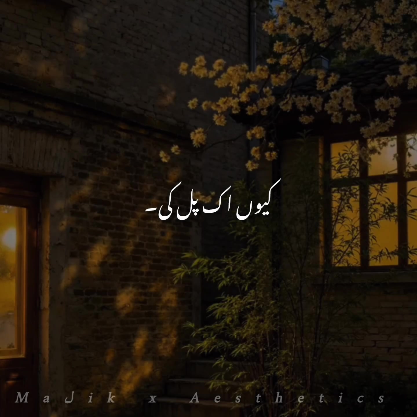 @𝑴𝑨𝑳𝑰𝑲 𝑨𝑬𝑺𝑻𝑰𝑿🎧