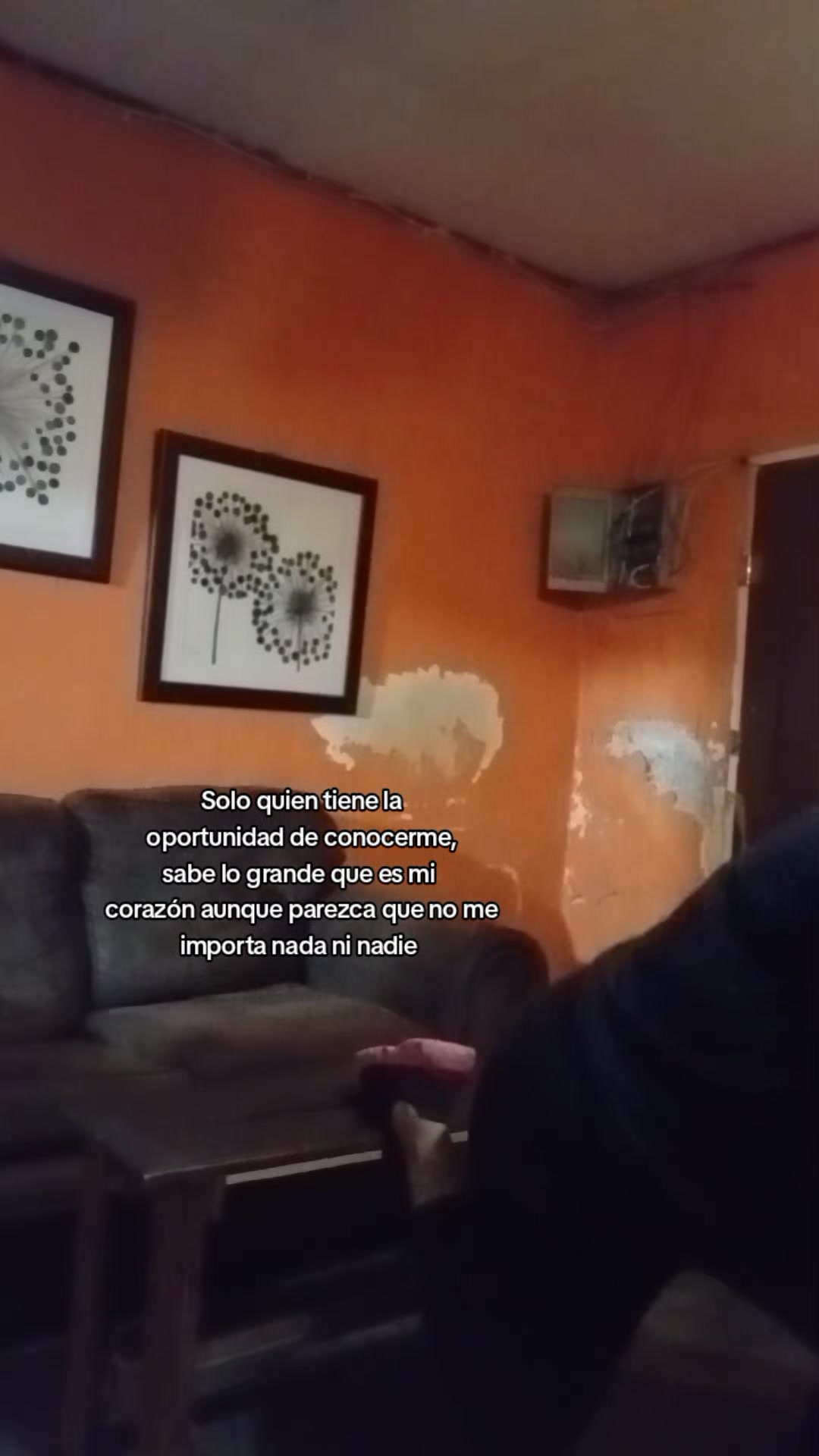 @Lily Guerrero