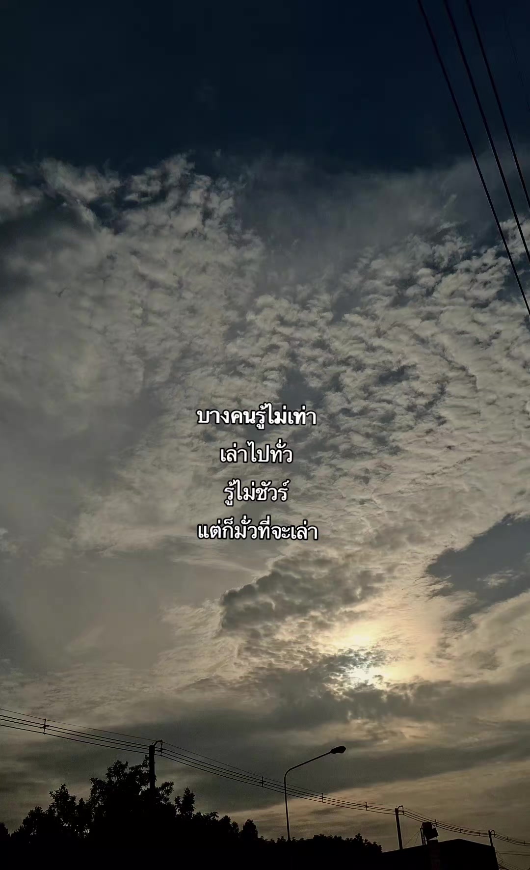 @สตอรี่'ยัยเจ้าเนื้อ≽^• ༚ • ྀི≼