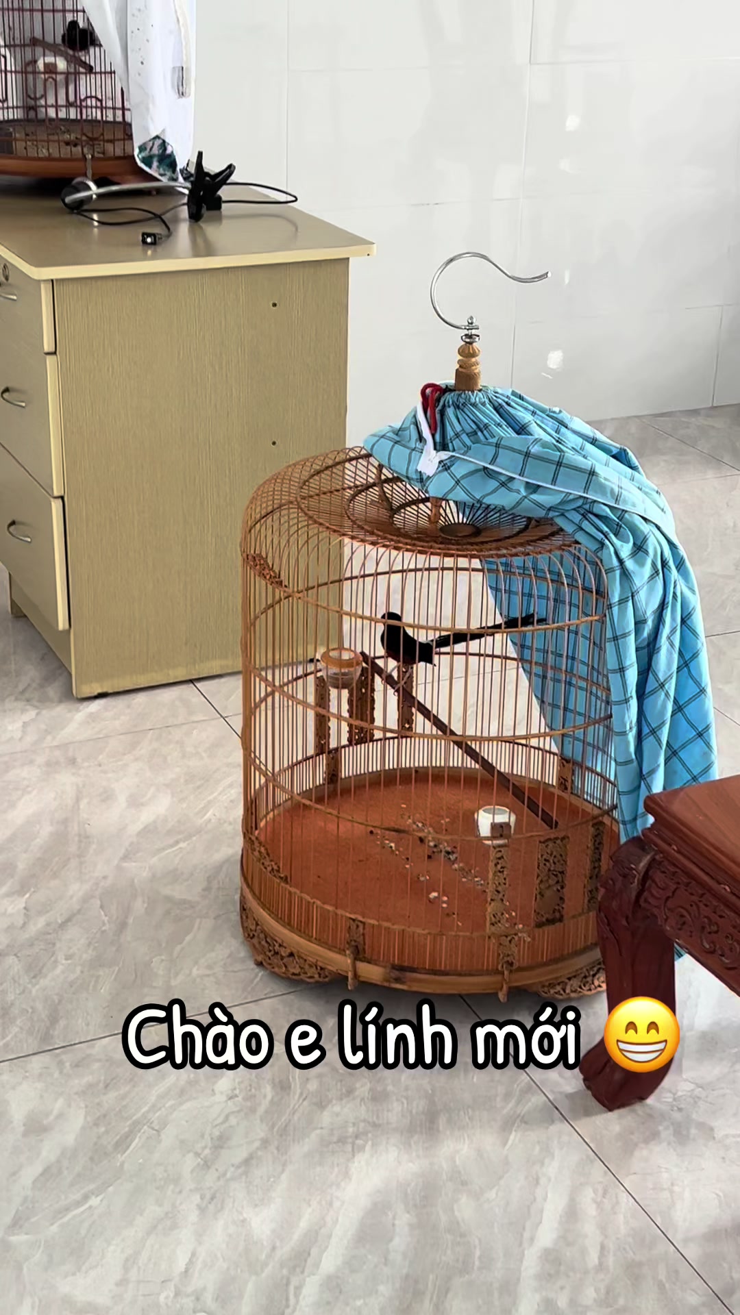 @Thanh Huynh .62