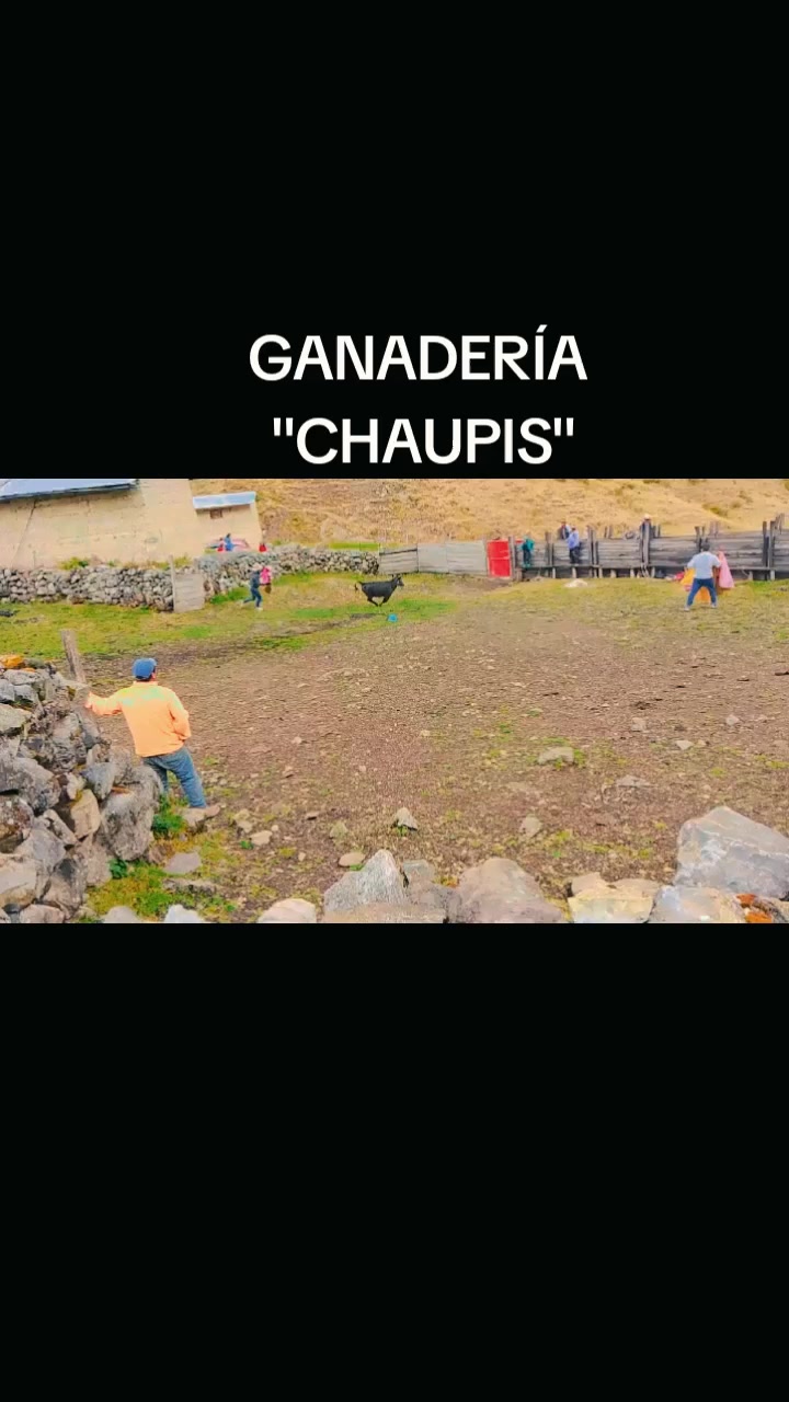 @J_chaupis👷🦺08🇵🇪