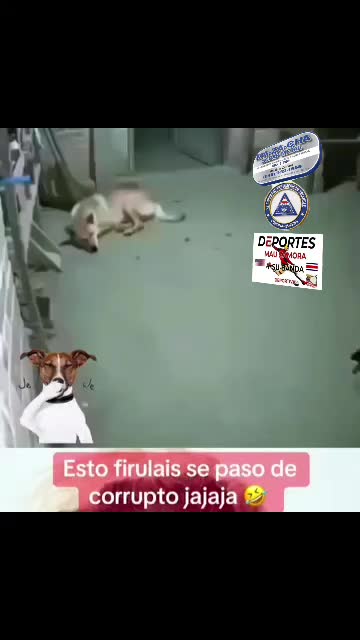 @MAU ZAMORA