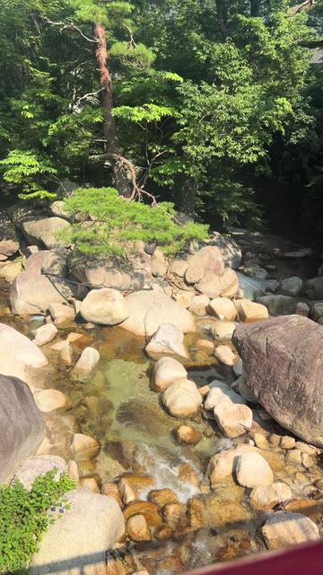 @☘️えりんこ☘️👽