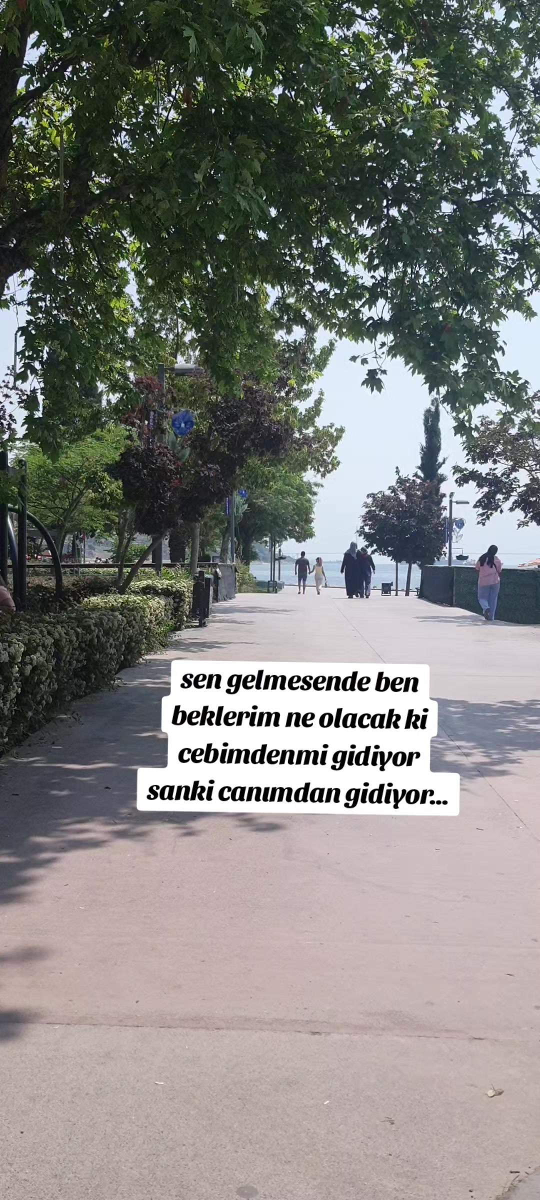 @✨M҉A҉V҉İİ&Ntilde;ĪŇ✨ĎŰ&Ntilde;ỲĂ&Scaron;Ī💫
