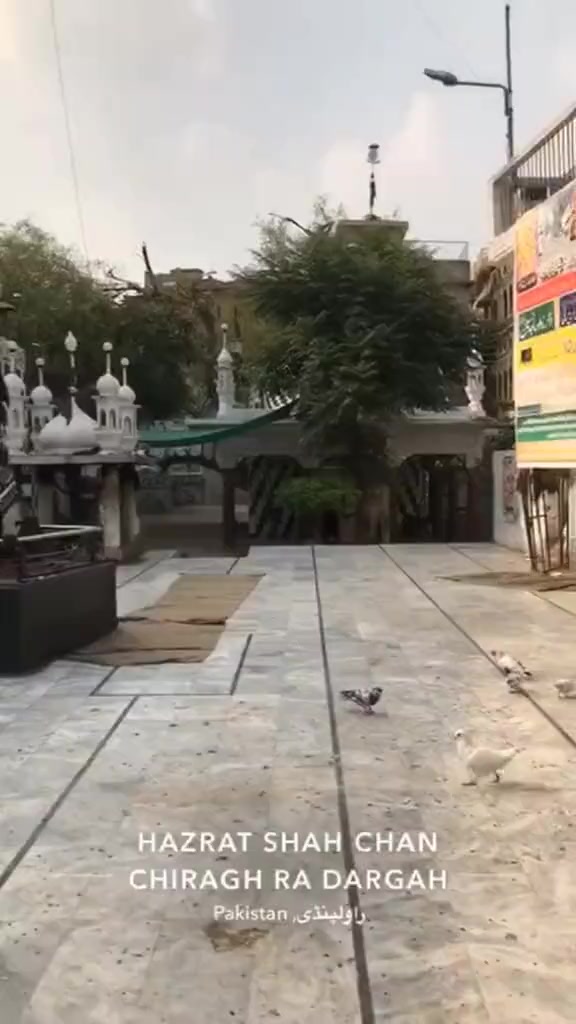 @haseebhassan