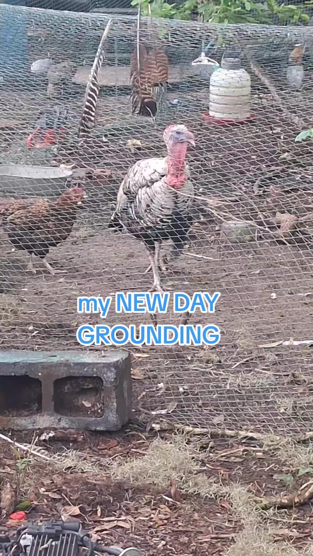 @EarthAngelAmyLynn