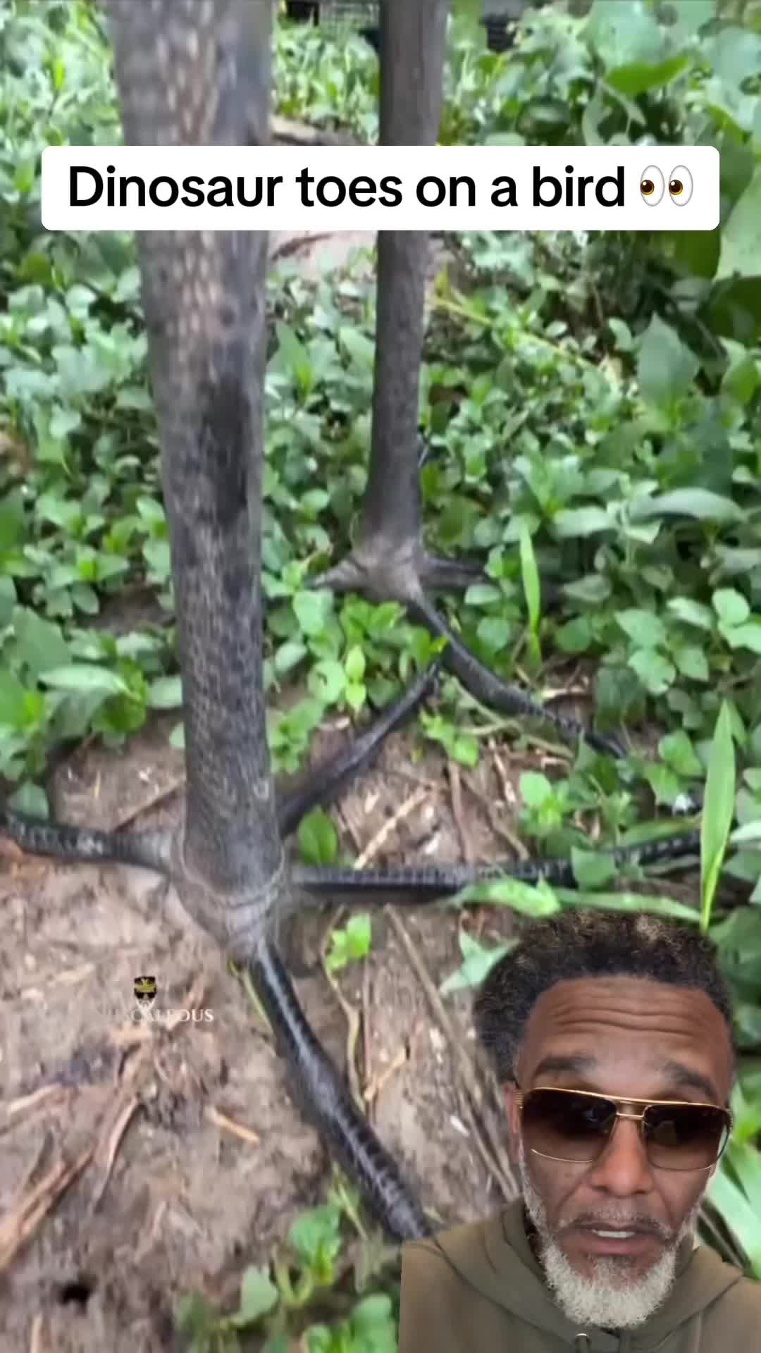 @Fishscaleous