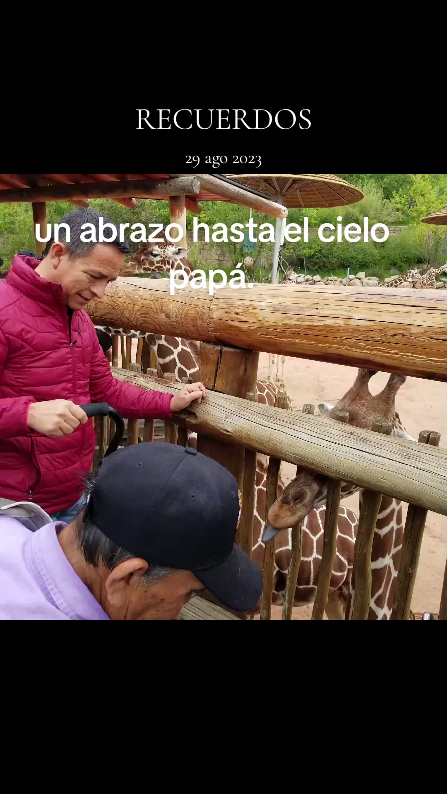 @toche