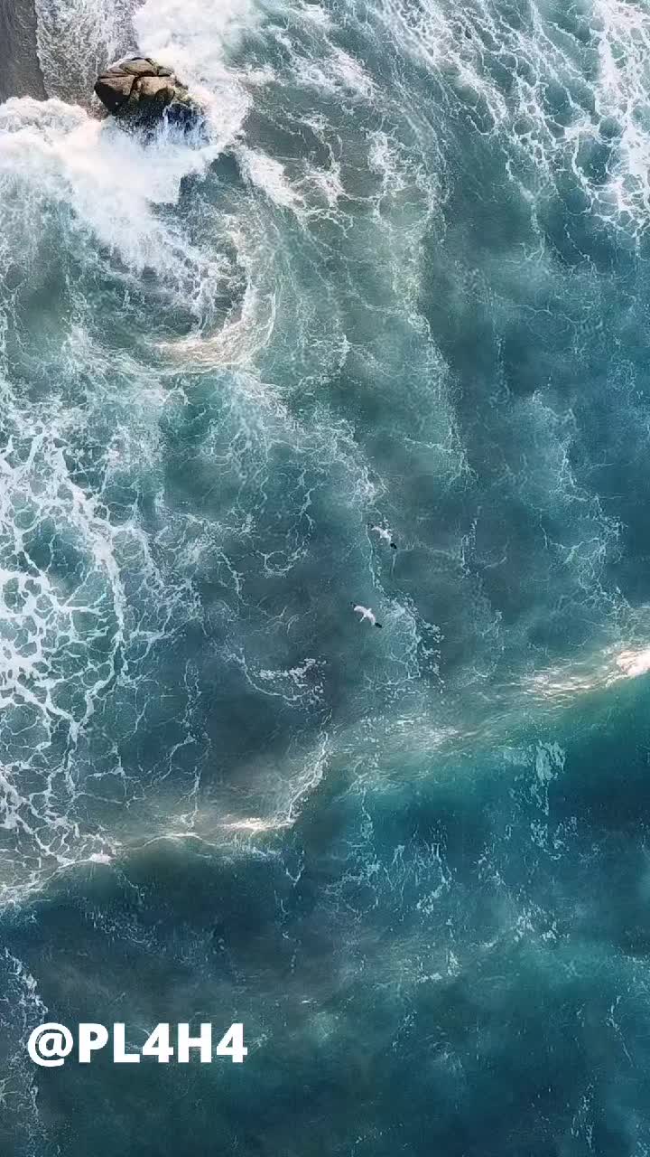 @PL4H4