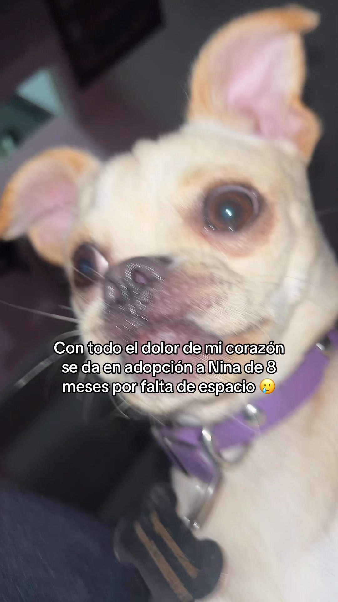 @Paulichi 💗