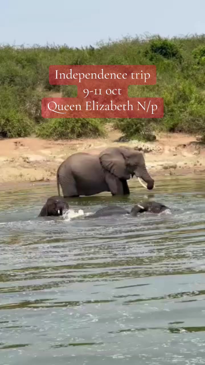 @marbanjisafaris