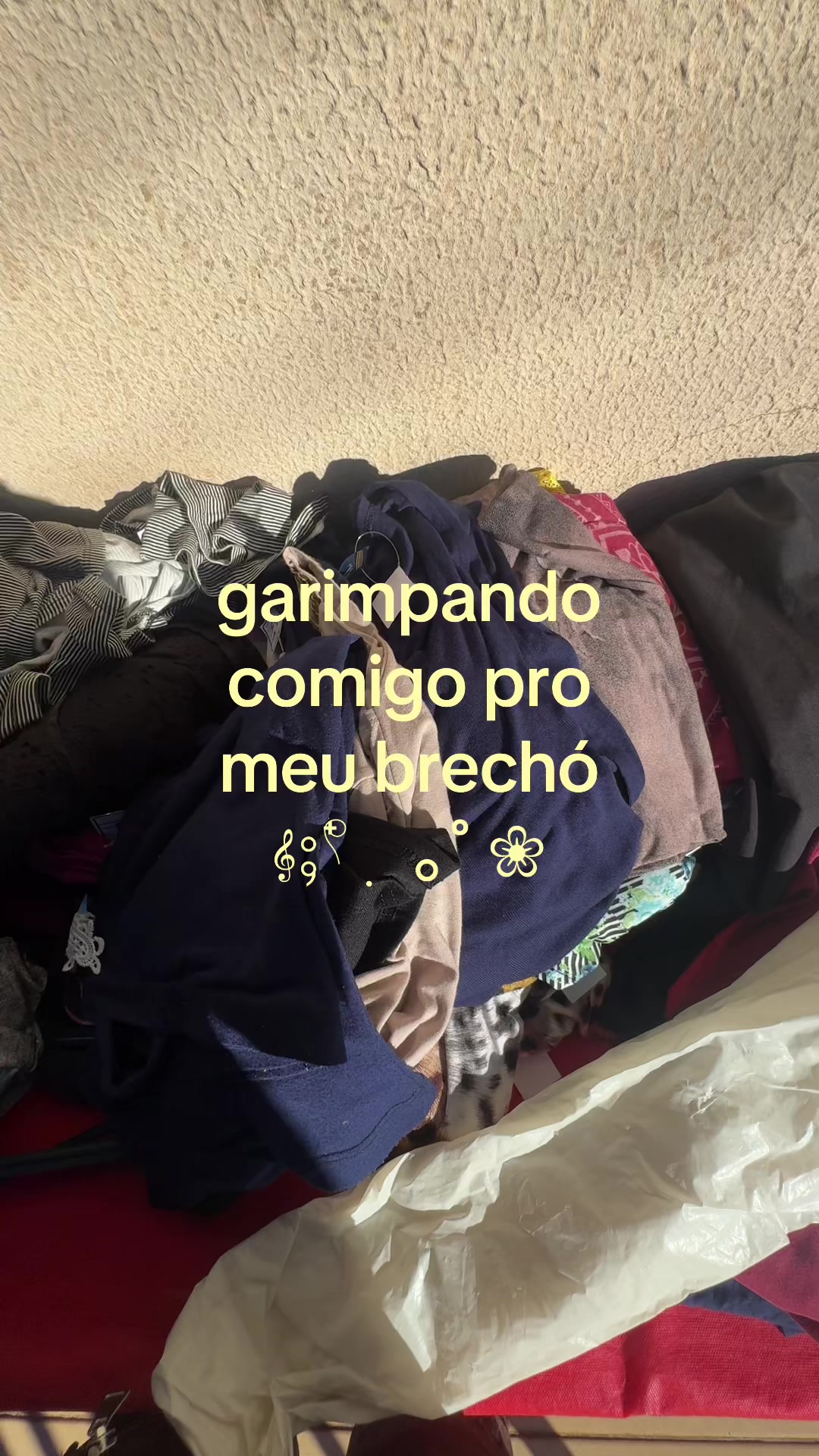 @iara ❀