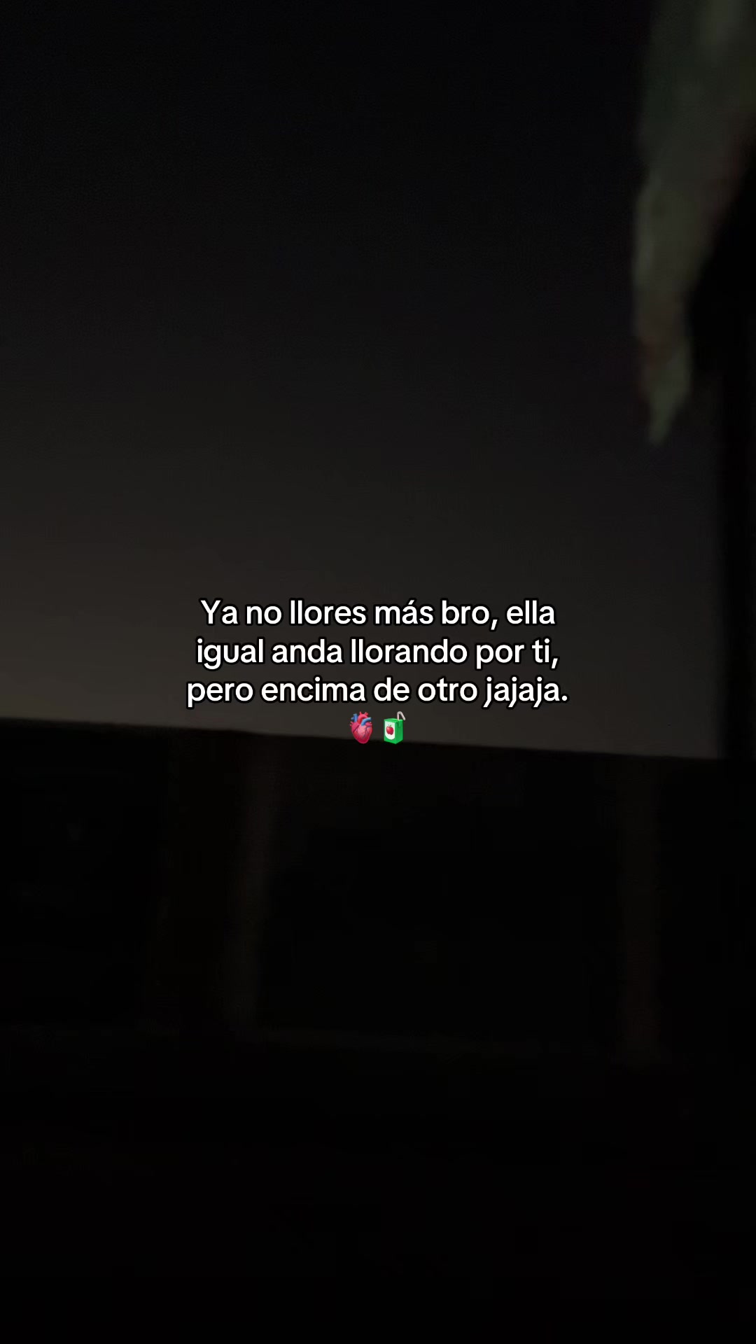 @Gatocix 🐱