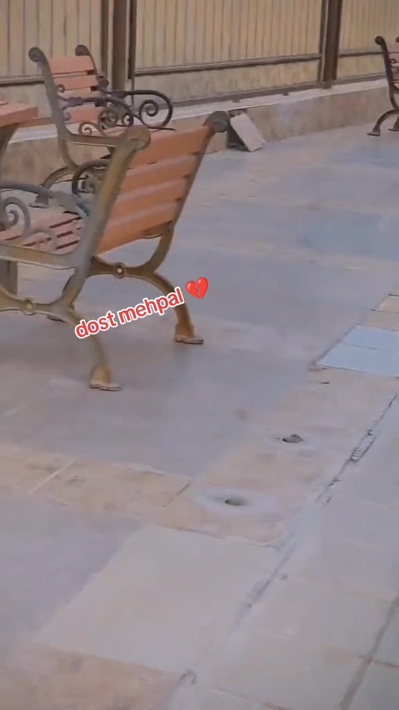 @🇦🇫SK🦅