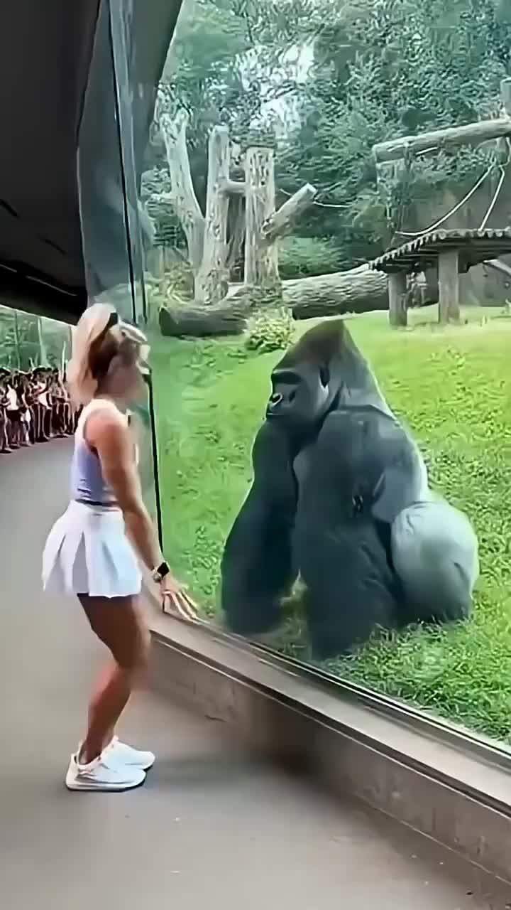 @𝗤𝗪𝗘𝗘𝗡 🇱🇷