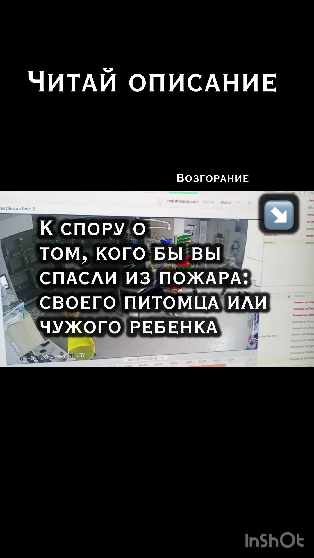 @Дизлайка