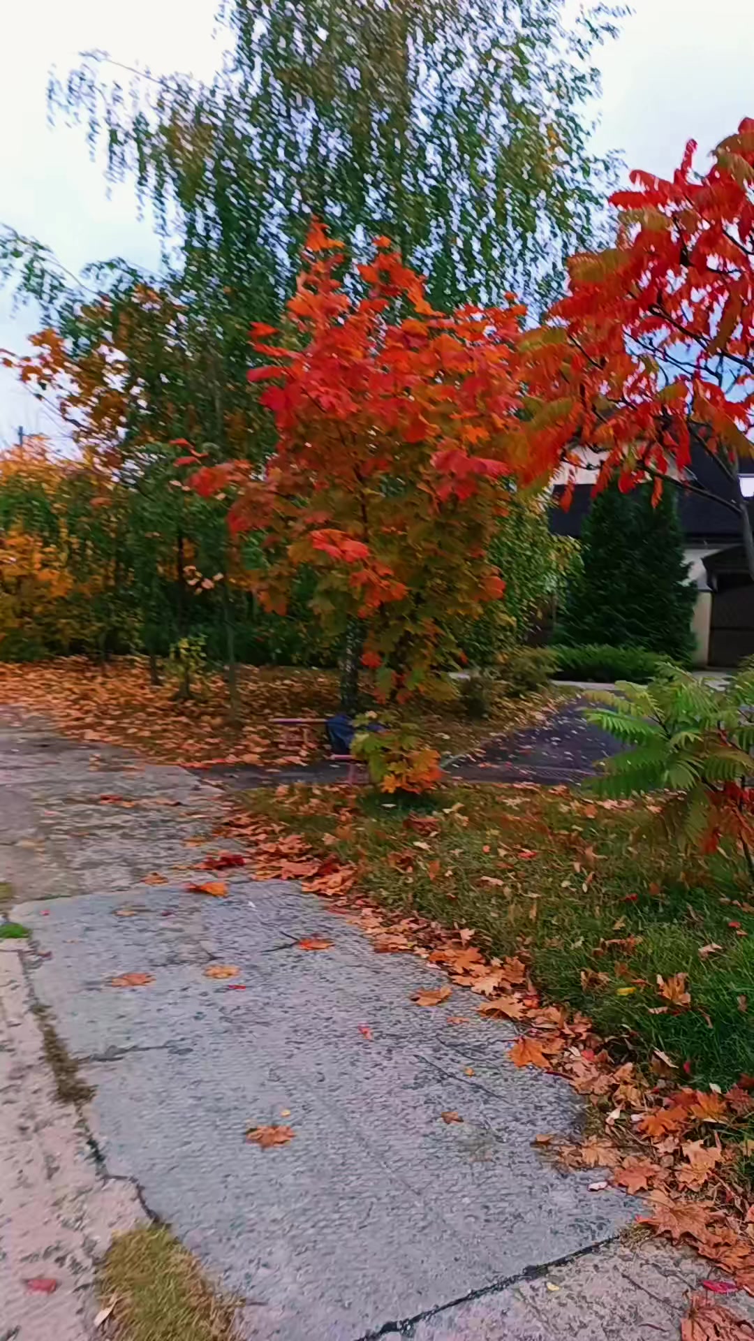 @ТАНЮШКА 🌺🌺