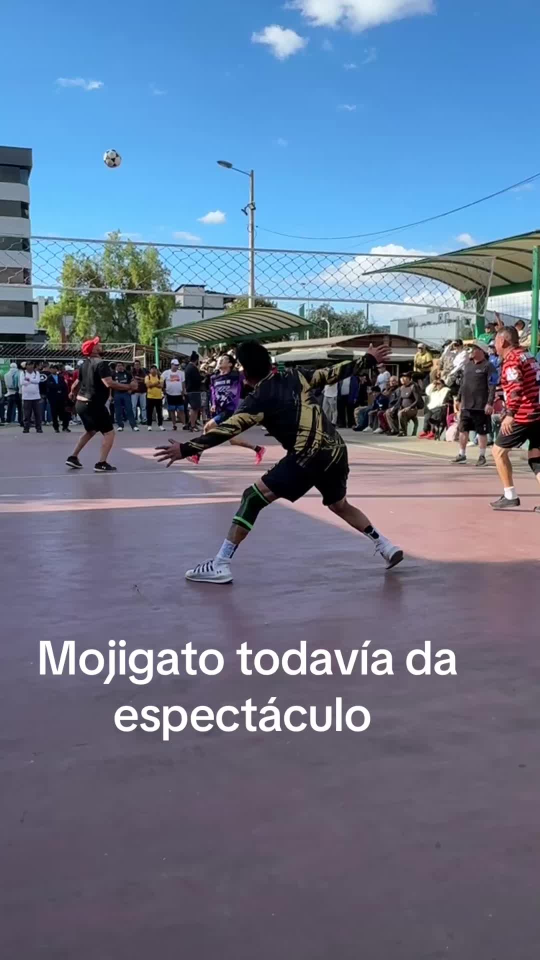 @Ecuavoley Fadhelec