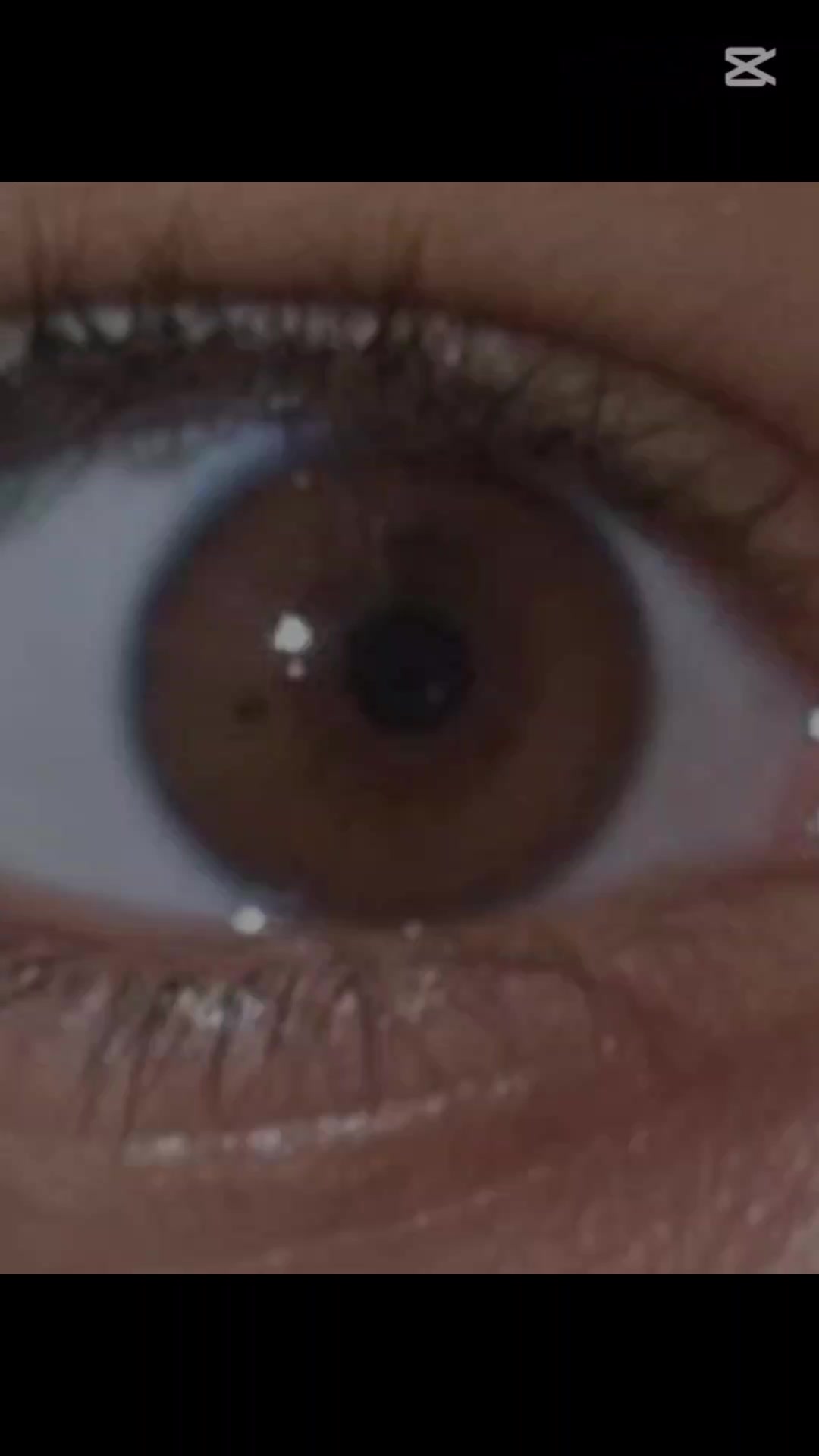 @nilaf