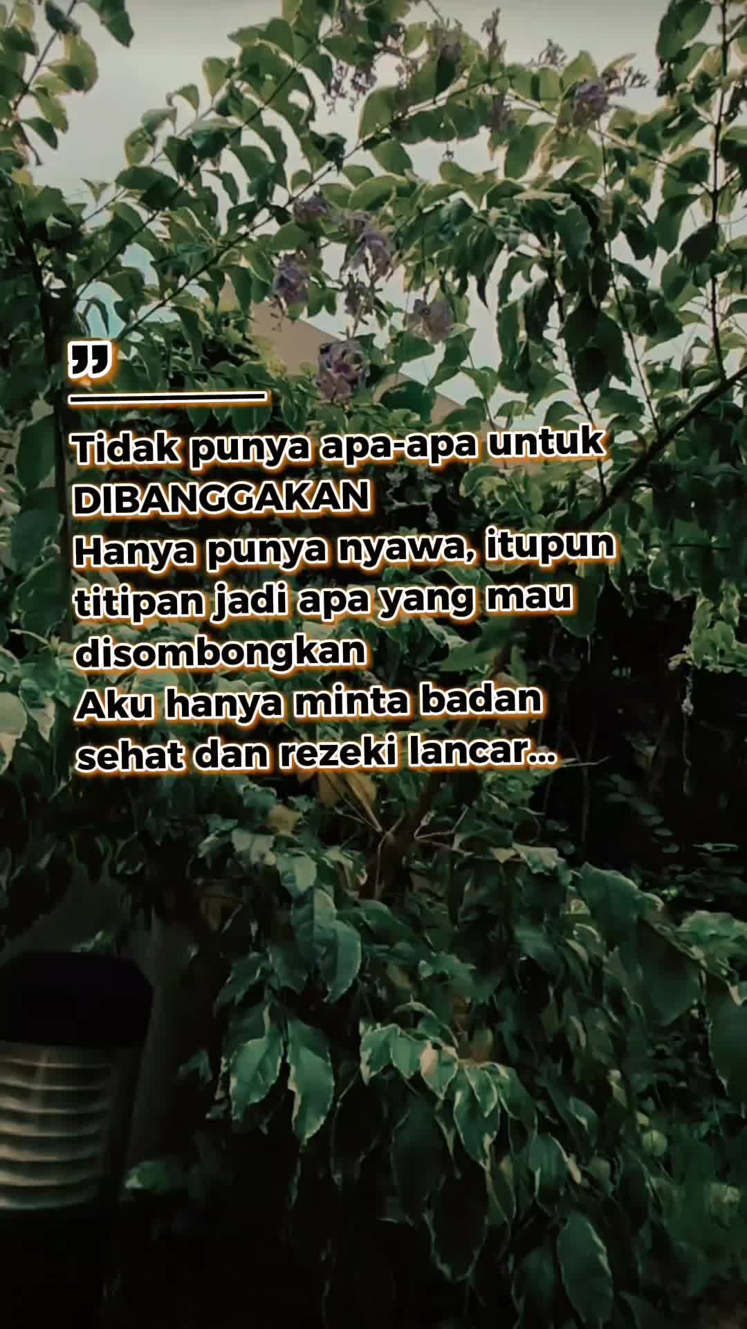 @@paijah_blitar_75_hk