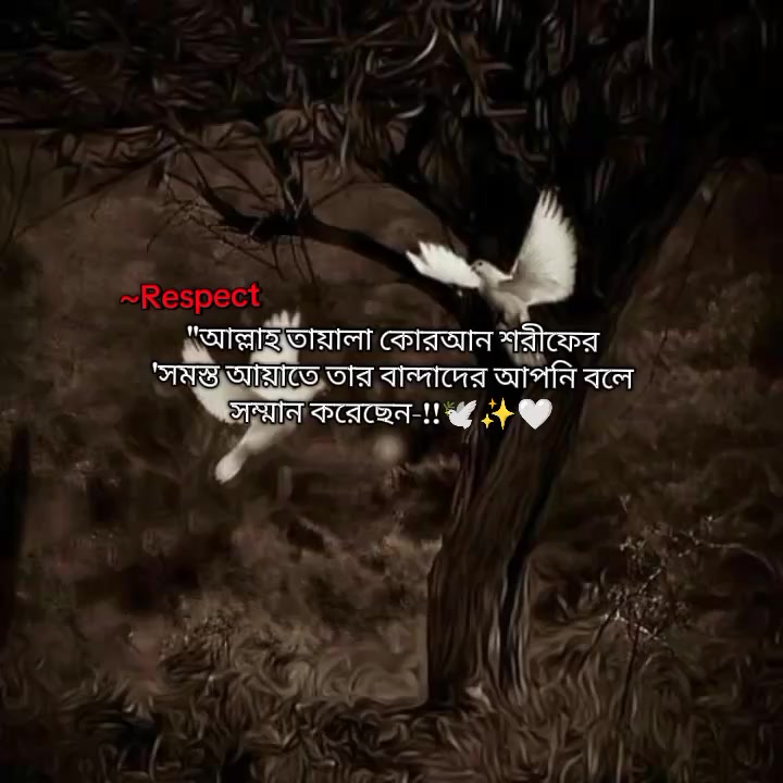 @_Liza✨👀