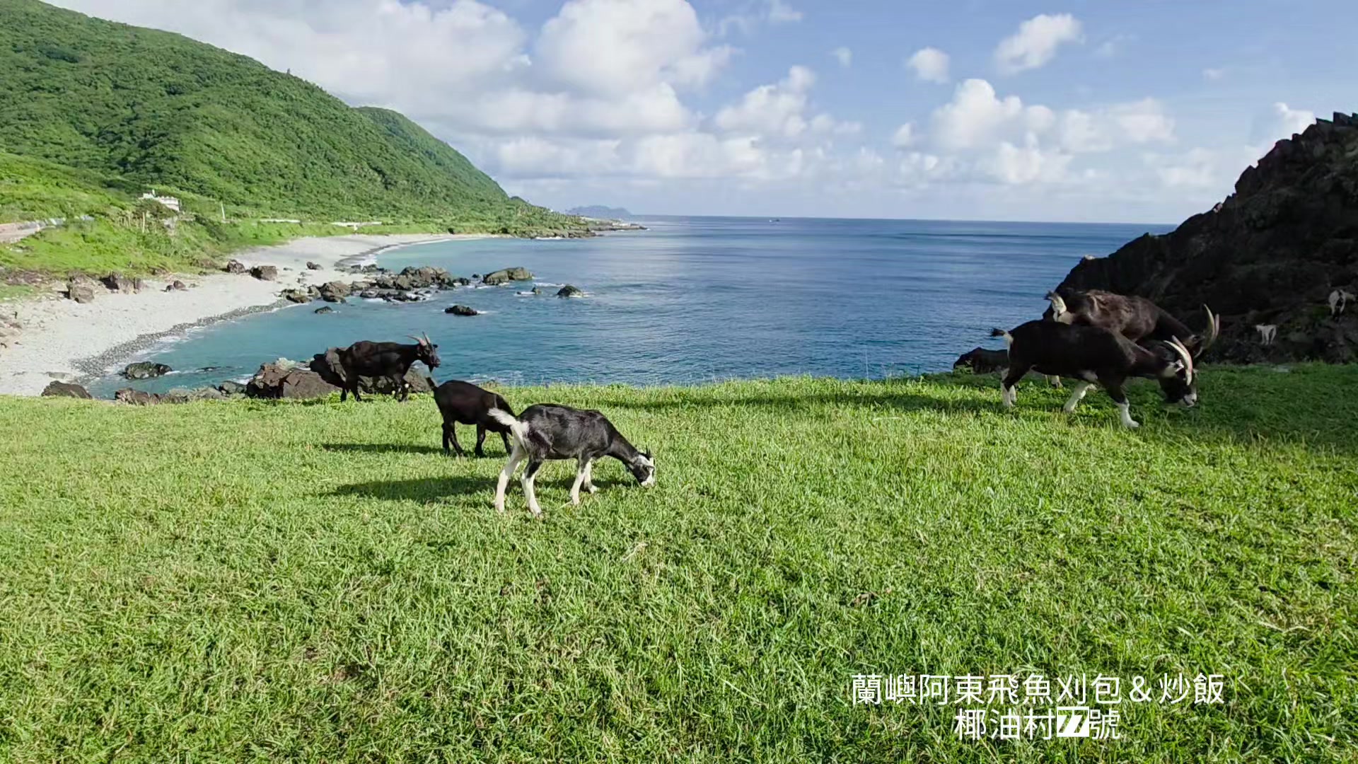 @蘭嶼阿東飛魚刈包(創始店)椰油77號