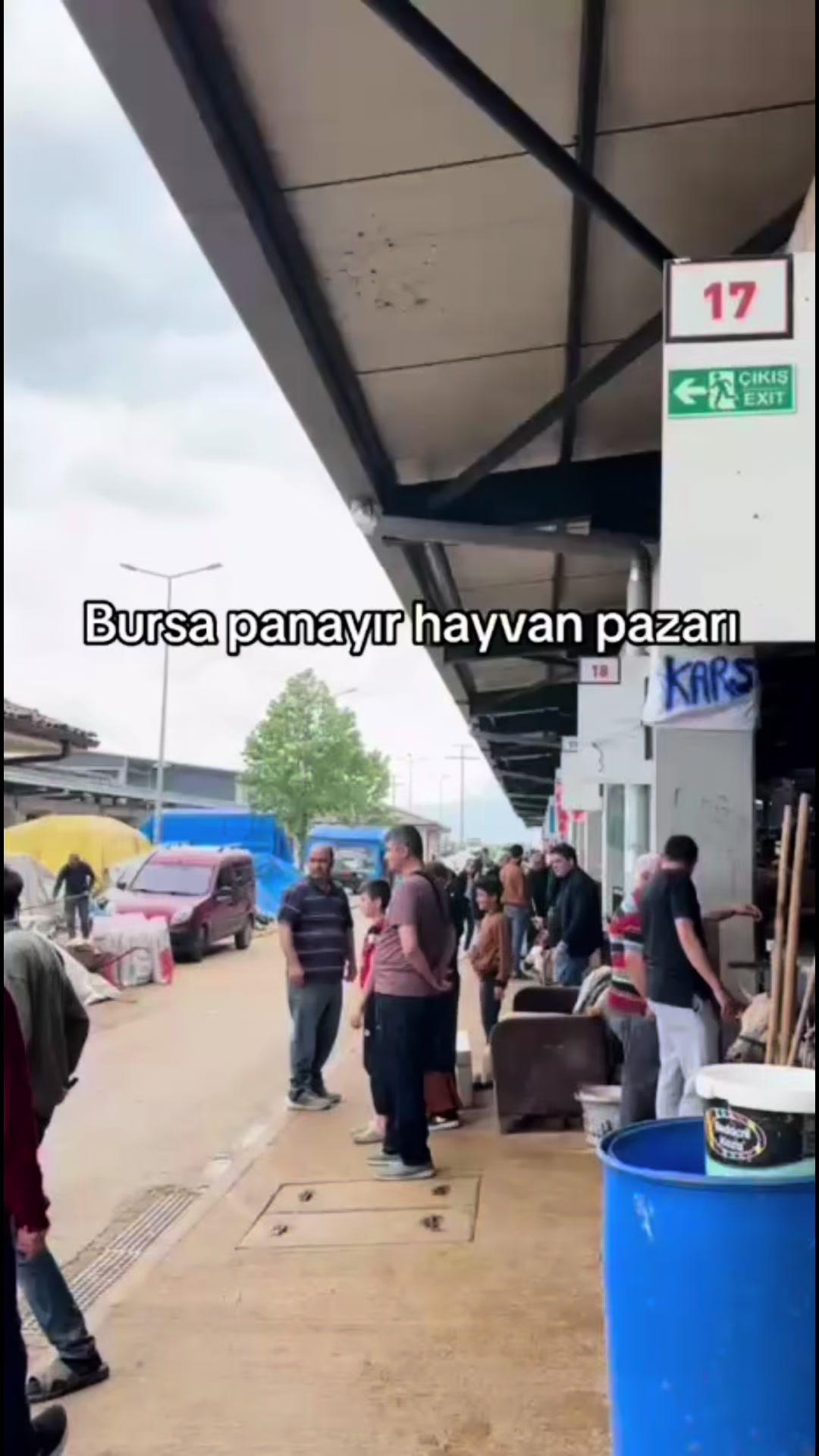 @Turgutkurt2525