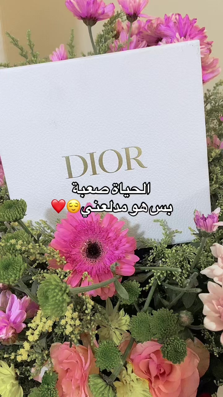 @Winter box | بهجة السودان