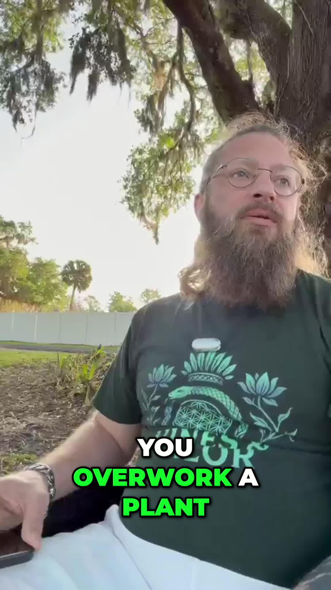 @Pachamama Ayahuasca Sanctuary