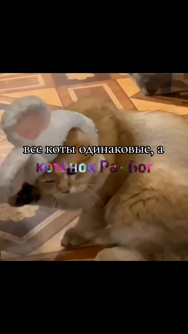 @девочка продам гараж <🔥>