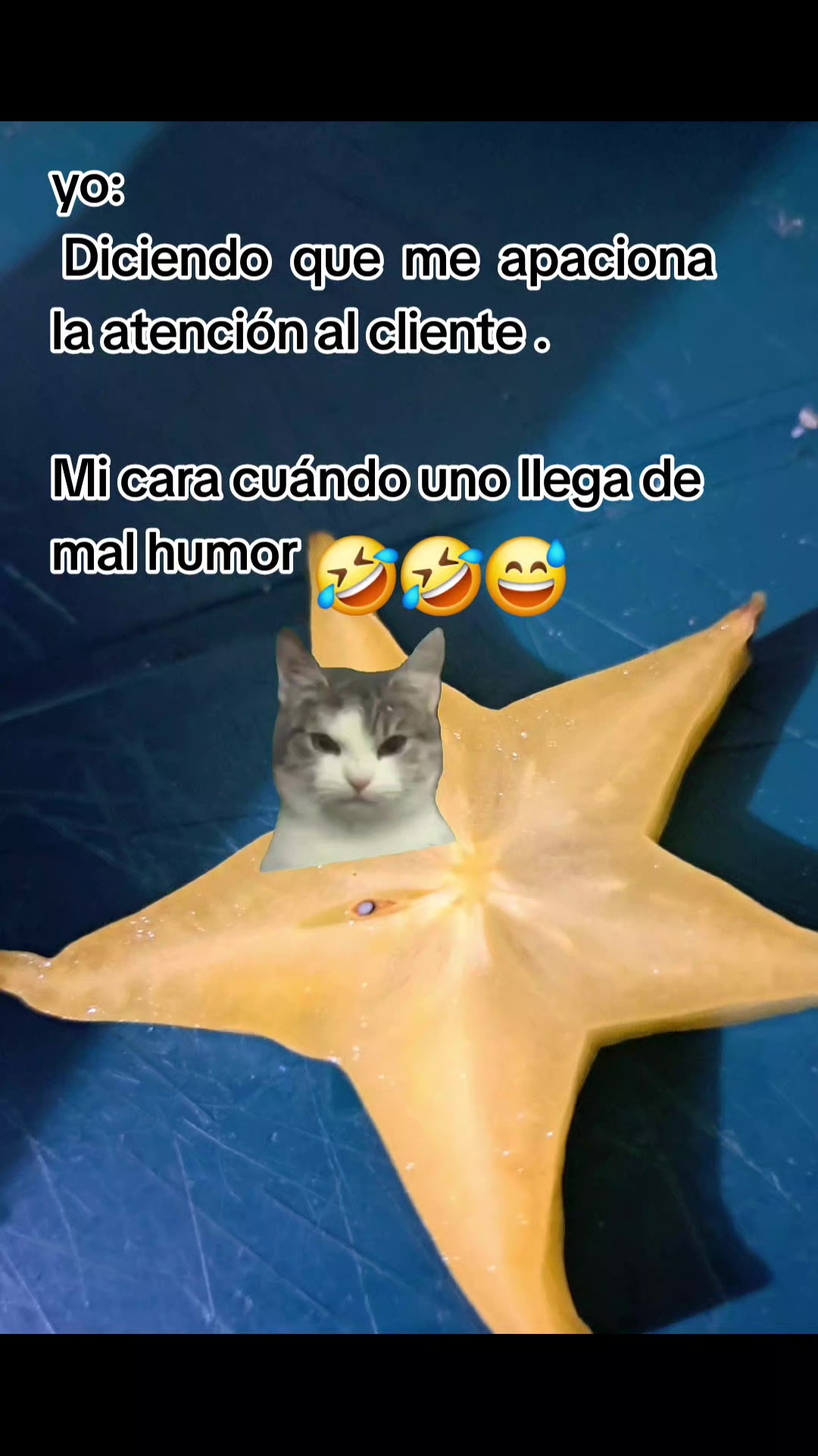 @Lili